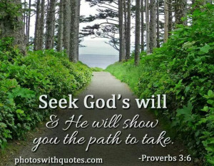 Seek.God's will...