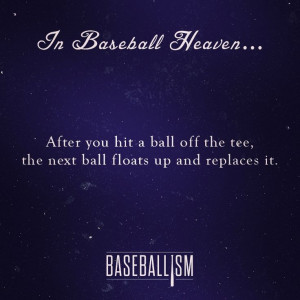 No partner necessary. #AmericasBrand www.baseballism.com