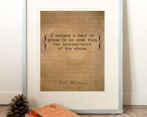 ... quote, typography, instant art, Walt Whitman, leaves of grass, stars