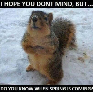 ... winter lol lol i m sooo ready for spring and flowers and sunshine