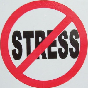 The Basics: How to Deal with Stress