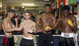 Mccue Sycamore Group Realtors Indiana