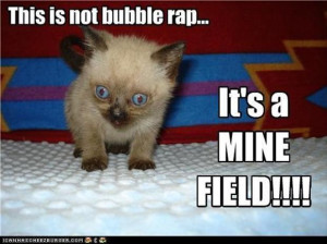 Funny Kitten On Bubble Wrap