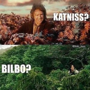 bilbo, funny, hunger games, katniss, lol, the hobbit, the hunger game ...