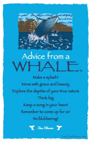 Spirit Totem Animals: #Advice from a #Whale.