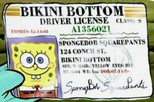 Spongebob’s (expired) driver’s license. Very informative. (via ...