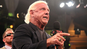 Ric Flair Wrestler