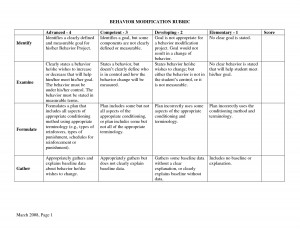 Behavior Modification Plan Template