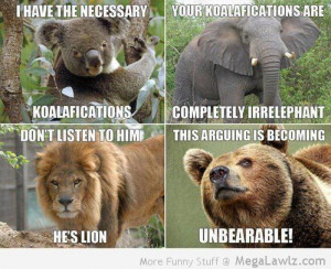 funny-kolala-elephant-lion-bear-pictures