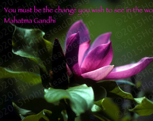 Gandhi: You must be the change you wish to see. ...