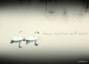 Family Stick Together Quotes Image Search Results Picture