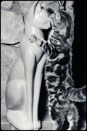 Found on mistymorrning.tumblr.com