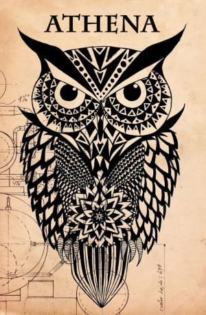 Greek Mythology Athena Owl