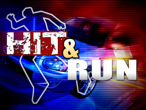 FHP: Fatal hit-and-run, public assistance needed immediately