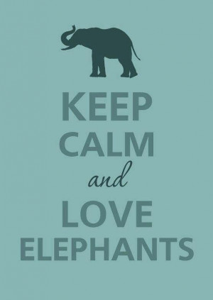 Elephants are the best animals. Why can't we have 'Elephant Week'!? I ...