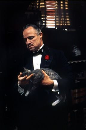 The Godfather (1972)