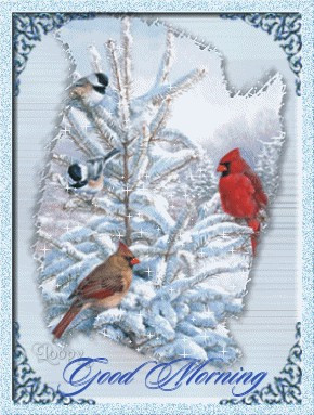 Have a very blessed day, y'all !!