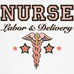 labor_delivery_nurse_caduceus_fitted_hoodie.jpg?side=Back&height=250 ...
