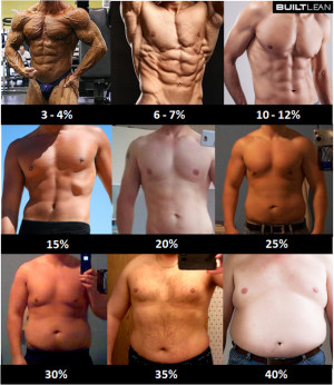 Body Fat Picture Descriptions Of Men
