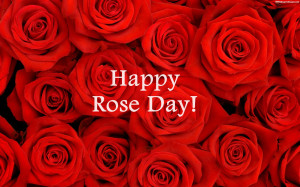 Happy Rose Day Quotes Images, Pictures, Photos, HD Wallpapers