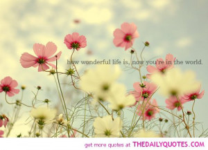 wonderful-life-quote-beautiful-pictures-with-quotes-sayings-pics.jpg