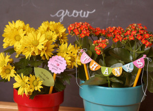 ... you will find another group of great teacher appreciation gift ideas