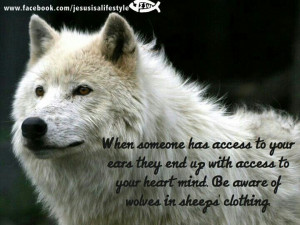 Beware Wolves Sheeps Clothing