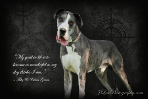 Digital Download Gray Great Dane with quote by GulfCoastInspired, $5 ...