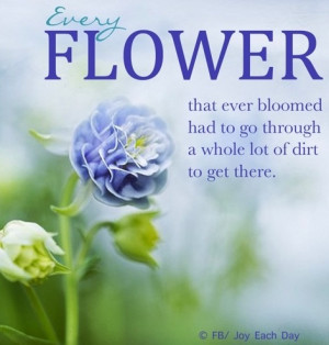 ... That Ever Bloomed Had To Go Through A Whole Lot Of Dirt To Get There