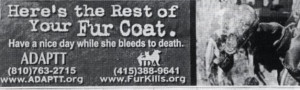 ADAPTT's anti-fur billboard was erected in November 1999 along ...