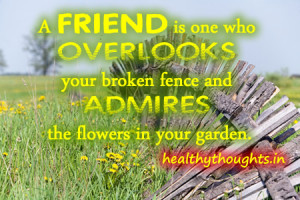 friend_is_someone-who-overlooks-your-broken-fence-and-admires-the ...