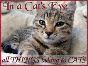 In a cat's eye, all things belong to cats
