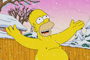 Homer Simpson, from an episode of ‘The Simpsons’ that aired in ...