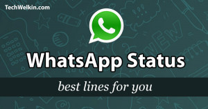WhatsApp Status: 150+ Best and Clever Lines