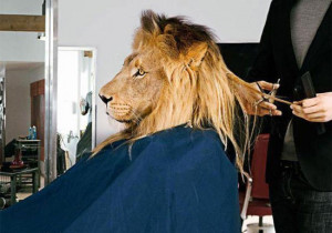 Nutze deine Tastatur um zum naechsten Eintrag zu kommen...