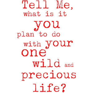 Mary Oliver Inspirational Quote Print 'your one wild and precious life ...