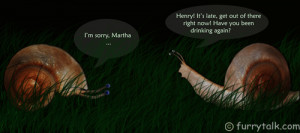 Martha and Henry – Funny Snails