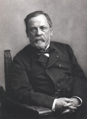 Description Louis Pasteur, foto av Félix Nadar.jpg