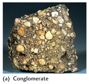 Biochemical Sedimentary Rocks