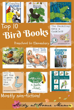 Bird Books Preschool to Elementary mostly nonfiction Birds Books 1 ...