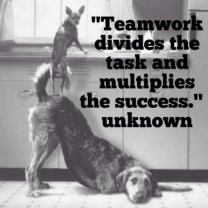 Teamwork Success Quotes Business. QuotesGram
