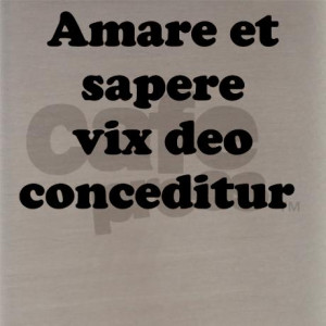 Amare et sapere vix deo conceditur Flask Necklace by LatinSayings