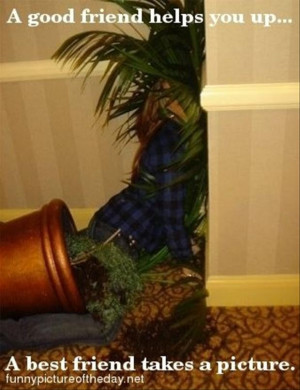 This is Dumpaday’s 1000th picture dump. We weren’t sure on what to ...