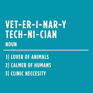 Veterinary Technician (noun) - as a current tech and future vet, I ...