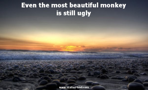 ... monkey is still ugly - Heraclitus of Ephesus Quotes - StatusMind.com