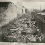 these days the black death or bubonic plague is not