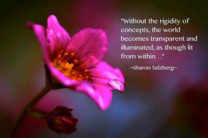 Susan Salzberg: Without the rigidity of concepts ...
