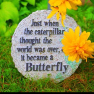 Metamorphosis ~ cycle of life