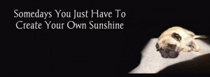 Pug Facebook Cover Photos For Your Timeline. Pug Quotes