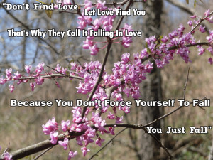 ... need to read some falling in love quotes. Here are a few to look at